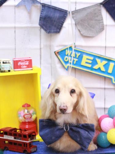 20230414ハクくん